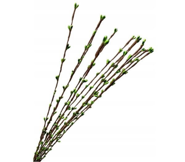 10x BAZIE GAŁĄZKA BAZIA STROIK WIELKANOC 65CM 10SZT