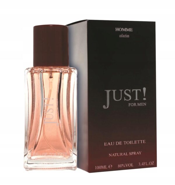 Woda toaletowa męska JUST 100 ml