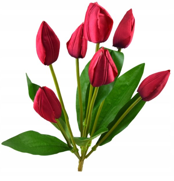 TULIPAN BUKIET TULIPANÓW Czerwone
