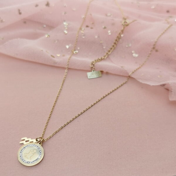 BLUEBERRY Naszyjnik STAL CHIRURGICZNA Znak zodiaku Wodnik